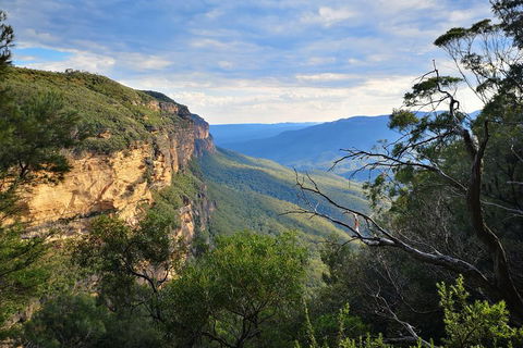 Sunset Blue Mountains Wilderness & Wildlife Tour Without The Crowds - Newcastle Accommodation 2