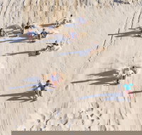 Unlimited Sandboarding - Newcastle Accommodation