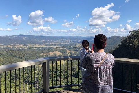 Sunshine Coast Private Scenic Guided Tour Inc. 2-Course Gourmet Lunch - Newcastle Accommodation 4