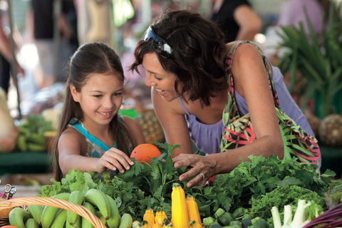 Sunshine Coast Eumundi Markets Return Minibus Transfer - Newcastle Accommodation 4