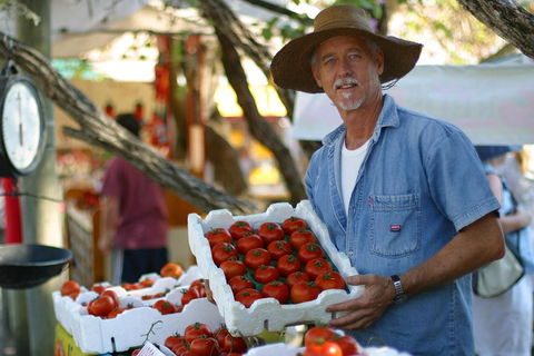 Sunshine Coast Eumundi Markets Return Minibus Transfer - Newcastle Accommodation 5