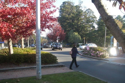 PRIVATE All-Day Blue Mountains Tour With Professional Guide For Up To 4 People - New Castle Tourism 1