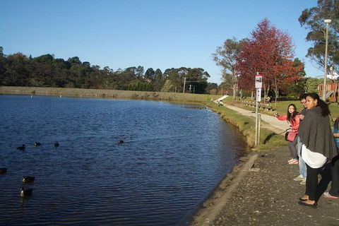 PRIVATE All-Day Blue Mountains Tour With Professional Guide For Up To 4 People - New Castle Tourism 2