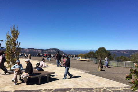 PRIVATE All-Day Blue Mountains Tour With Professional Guide For Up To 4 People - New Castle Tourism 5