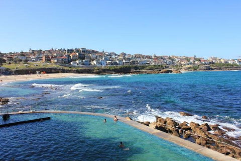 Private Tour: Sydney Highlights In A Day - Newcastle Accommodation 1