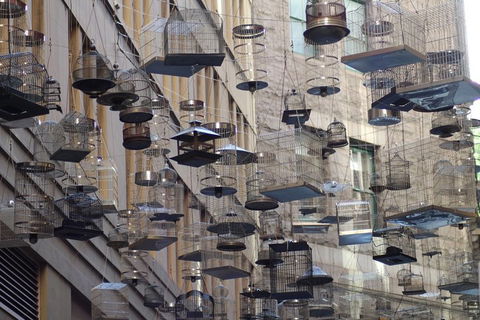 Sydney Scavenger Hunt: Inside Sydney - Newcastle Accommodation 0