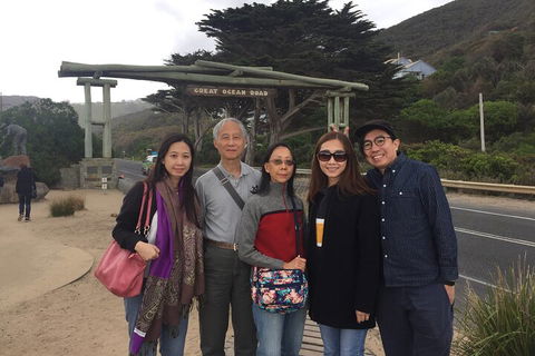 Private One Day Great Ocean Road Tour - Newcastle Accommodation 5