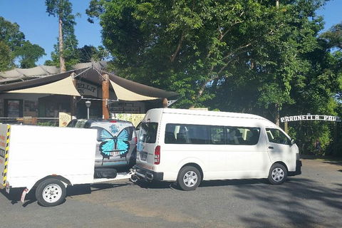 Airport Transfer To Or From Cairns Hotels For Up To 13 People - New Castle Tourism 4