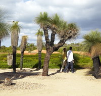 1 Day Exclusively Private Tour Of Phillip Island  The Penguin Parade - Newcastle Accommodation