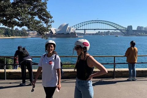 The Sydney Express - Newcastle Accommodation 1