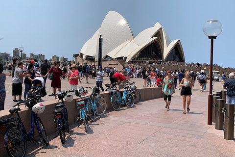 The Sydney Express - Newcastle Accommodation 4