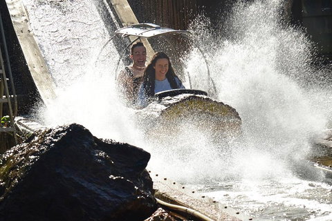 Theme Park Transfer From Brisbane - Newcastle Accommodation 1