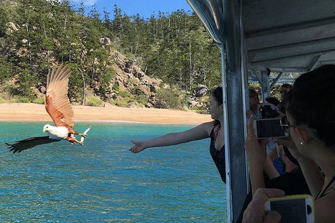 Aquascene Magnetic Island Discovery Tour - New Castle Tourism 2