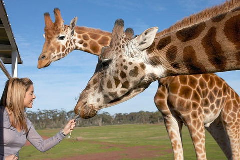 Melbourne City Card (2 Days): Visit Unlimited Attractions! - Newcastle Accommodation 1