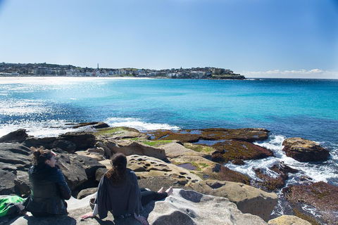 Kiama South Coast Tour With Coastline, Farmlands, Aboriginal Engravings & Lunch - Newcastle Accommodation 2