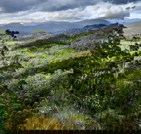 3-Day Tour to the Falls Mountains Lake  More of West Coast Tasmania - New Castle Tourism