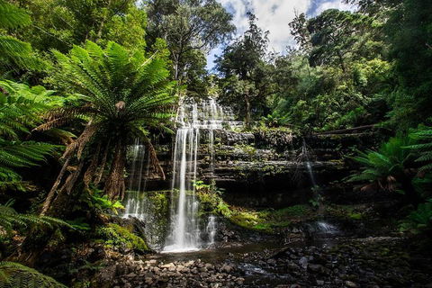 3-Day Tour To The Falls, Mountains, Lake & More Of West Coast Tasmania - Newcastle Accommodation 4