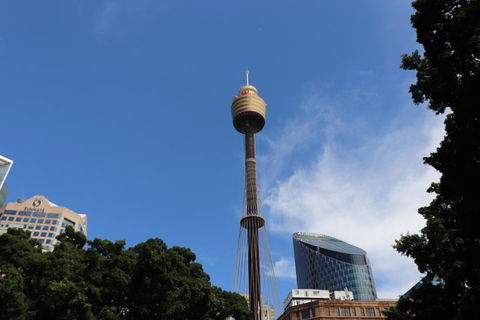 Private Sydney City Customized Tour - Newcastle Accommodation 0