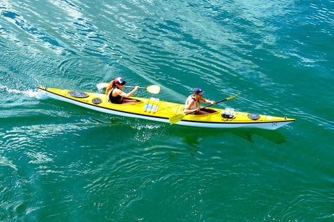 Self-Guided Sydney Middle Harbour Kayak 3 Hour Tour By Double Kayak - Newcastle Accommodation 1