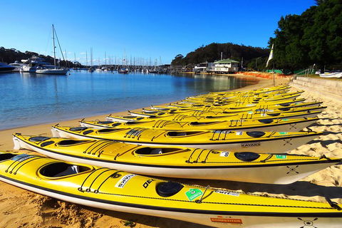 Self-Guided Sydney Middle Harbour Kayak 3 Hour Tour By Double Kayak - Newcastle Accommodation 4
