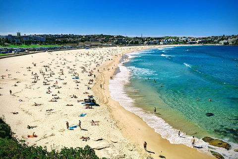 Sydney & Bondi Beach Plus Local Secrets With 'Personalised Sydney Tours' - Newcastle Accommodation 5