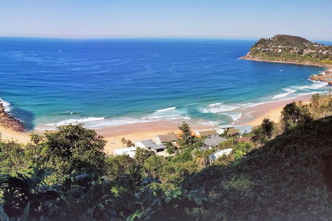 Manly & Sydney's Northern Beaches With 'Personalised Sydney Tours' - Newcastle Accommodation 2