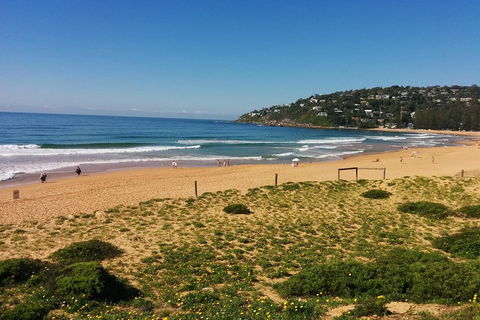 Manly & Sydney's Northern Beaches With 'Personalised Sydney Tours' - Newcastle Accommodation 5