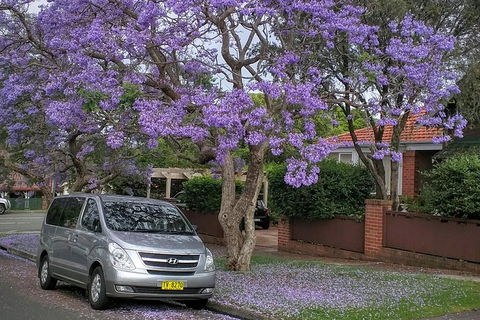 Sydney Secrets & Bondi Beach Private 4 Hr Morning With Personalised Sydney Tours - Newcastle Accommodation 0