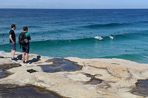 Sydney Secrets & Bondi Beach Private 4 Hr Morning With Personalised Sydney Tours - Newcastle Accommodation 2