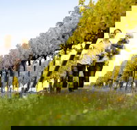 2-Day Private Daylesford  Macedon Ranges Gourmet Food Trail Tour from Melbourne - Newcastle Accommodation