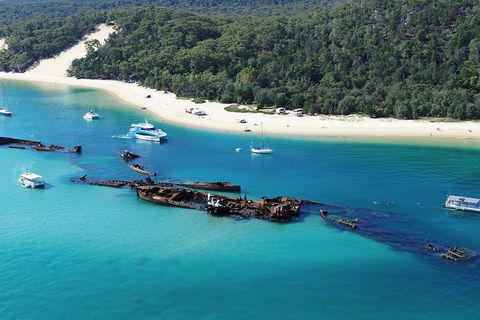 All Inclusive Dolphin And Tangalooma Wrecks Cruise - New Castle Tourism 4