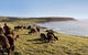 Kangaroo Island Personal Group Tours - thumb 0