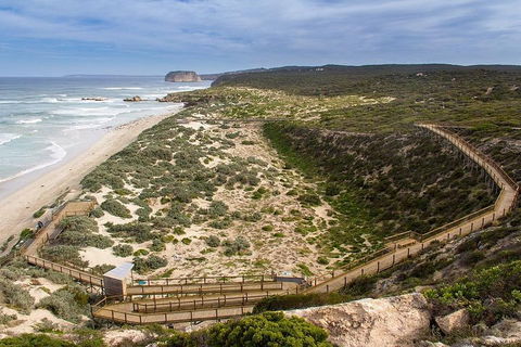 Kangaroo Island Personal Group Tours - Newcastle Accommodation 1