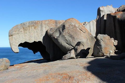 Kangaroo Island Personal Group Tours - Newcastle Accommodation 2