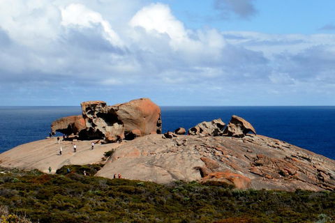 Kangaroo Island Personal Group Tours - Newcastle Accommodation 5