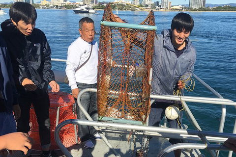 Crab Trip From Gold Coast - Newcastle Accommodation 1