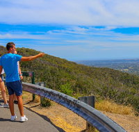 Private Tour Mornington Peninsula Family Maze and Fun - Newcastle Accommodation