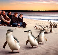 Private Tour Penguin Parade Phillip Island Tour. - Newcastle Accommodation