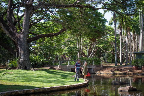 Darwin City Sights And Jumping Crocodile Cruise - Newcastle Accommodation 5