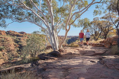 3-Day Tour From Uluru (Ayers Rock) To Alice Springs Via Kings Canyon - Newcastle Accommodation 1