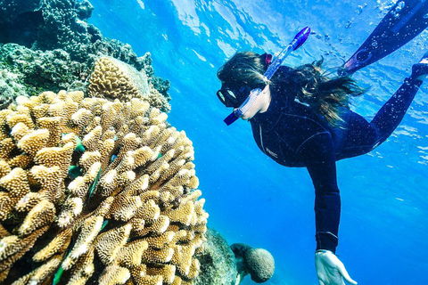 Green Island Day Trip From Cairns - Newcastle Accommodation 1