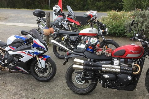 Triumph Street Scrambler 900cc - Newcastle Accommodation 4