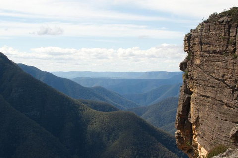 Inside The Greater Blue Mountains World Heritage - A Wildlife Safari Overnight - Newcastle Accommodation 4