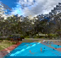 Tahune Airwalk Active Day Trip from Hobart Including Hastings Caves - New Castle Tourism