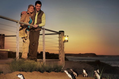 The Ultimate Melbourne Attractions Pass - Newcastle Accommodation 3