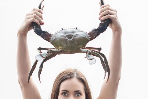 The Ultimate Gold Coast Attractions Pass - Newcastle Accommodation 0