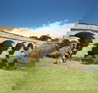 Richmond Historic Afternoon Tour from Hobart - New Castle Tourism