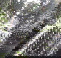 6-Day Hearty Tasmania Tour Tasmania in a Circle - New Castle Tourism