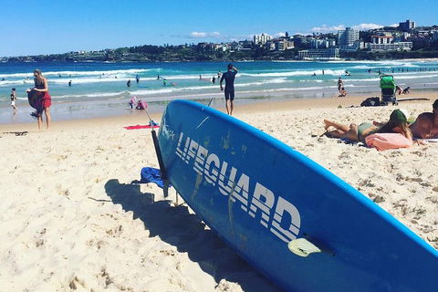 Private Essential Sydney Tour Including Lunch At The Cruising Yacht Club Of Australia - Newcastle Accommodation 1