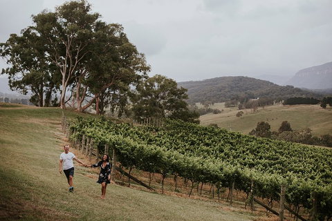 Luxury Blue Mountains Tour With Aussie BBQ Lunch And Wine Tasting - Newcastle Accommodation 3